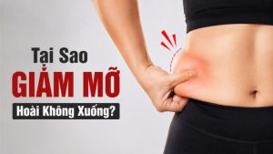 Tại Sao Giảm Mỡ Hoài Không Xuống