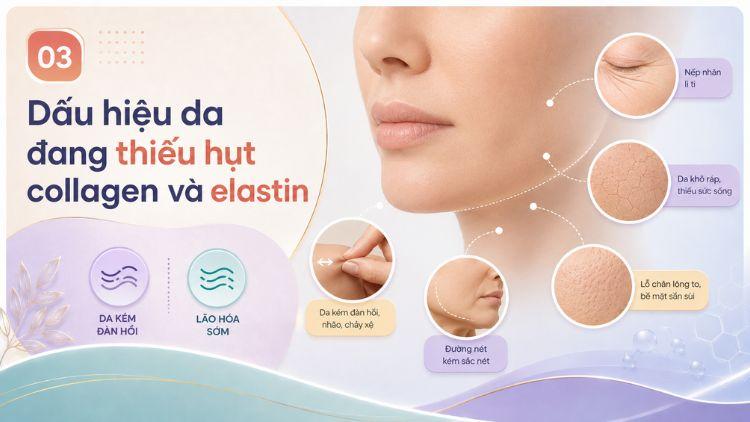 Nếp nhăn và da chùng do thiếu đàn hồi