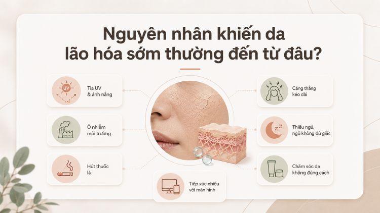 Các yếu tố làm tăng nguy cơ lão hóa da