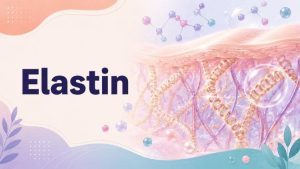 elastin