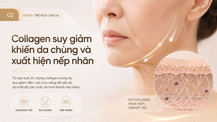 Collagen suy giảm khiến da chùng và xuất hiện nếp nhăn
