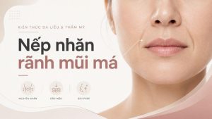 nếp nhăn tĩnh và nếp nhăn động