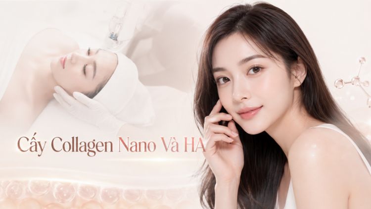 Cấy collagen nano và HA là gì? Khác nhau thế nào? | Citrine