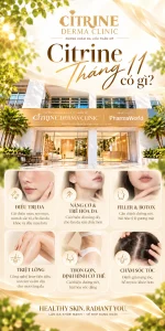 Banner mobile Citrine